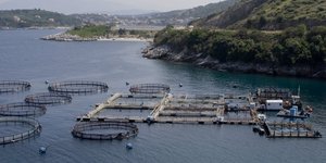 Υδατοκαλλιέργεια στην Ελλάδα