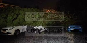 Πτώση δένδρου στην Κέρκυρα