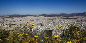 Λουλούδια στην Αθήνα