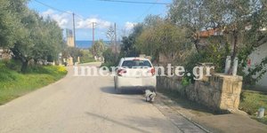 Ο βασανισμός του σκύλου