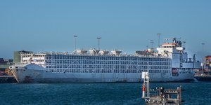 Πλοίο που μεταφέρει ζώα