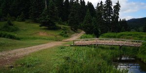 Υπόδειγμα δάσους το Πανεπιστημιακό Δάσος Περτουλίου Τρικάλων / Πηγή: ΑΠΕ-ΜΠΕ