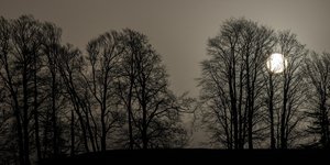 Αφρικανική σκόνη πάνω από τον ουρανό της Ελβετίας 