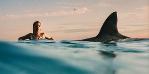 Dua Lipa: Ποζάρει δίπλα από καρχαρία στο εξώφυλλο του νέου άλμπουμ