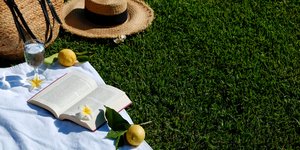 βιβλιο γρασιδι λεμονια 