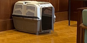Σε κλουβί σκύλου κρατούσε κλειδωμένο το γιο της η μητέρα στην Αυστρία