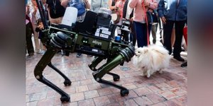 Ισπανία-Μάλαγα: Η αστυνομία παρουσίασε σκύλο-ρομπότ που θα παρέχει βοήθεια στα στελέχη