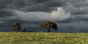 Συννεφιά σε λιβάδι