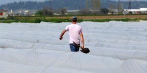 Βέροια, εργάτης