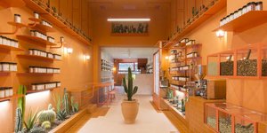 Wild Souls/Φωτογραφία: Alina Lefa 