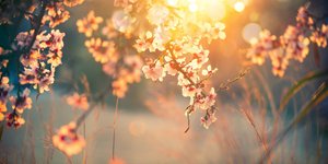 Φωτογραφία: Shutterstock