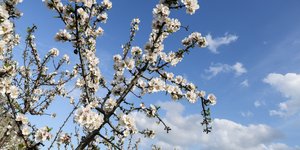 Ανοιξιάτικος καιρός