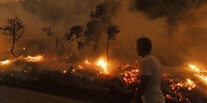 Η πυρκαγιά στον Έβρο τον περασμένο Αύγουστο ήταν η μεγαλύτερη που έχει καταγραφεί στην Ευρώπη