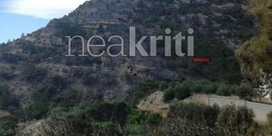 Κάηκαν μεγάλες εκτάσεις από τη φωτιά στο Λασίθι