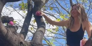 Η Ζιζέλ πάνω σε δέντρο το Πάσχα