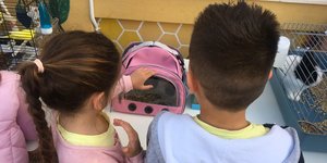  Στο σχολείο με τα κατοικίδιά τους οι μαθητές στο Ηράκλειο/ Πηγή: ΑΠΕ-ΜΠΕ