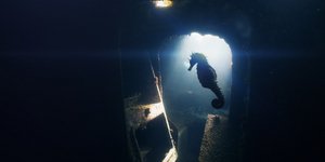 ιππόκαμπος στο αμπαρι  