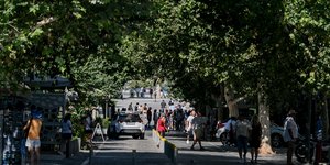 κοσμος δρομος με δεντρα