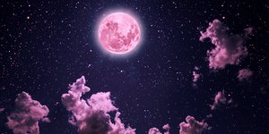 Φωτογραφία: Shutterstock