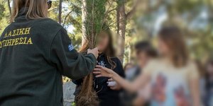 Μαθητές και μαθήτριες δημοτικών σχολείων φύτεψαν 150 δέντρα στην κατασκήνωση του ΑΠΘ στο Ποσείδι