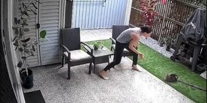 Η στιγμή που ο πύθωνας αρπάζει τη γάτα στην αυλή σπιτιού στην Αυστραλία