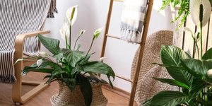 Φωτογραφία: Shutterstock