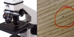 Ο Γιώργος Τσατραφύλλιας τρολάρει τις προγνώσεις για κύμα σκόνης την Παρασκευή