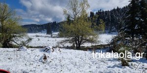 Τρίκαλα: Χιόνι στα λιβάδια στο Περτούλι λίγο πριν το Πάσχα