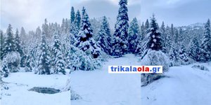 Πηγή: trikalaola.gr