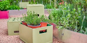 Ανθοκομική Έκθεση Δήμου Κηφισιάς 