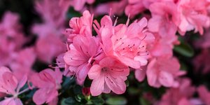 φωτογραφία: Shutterstock