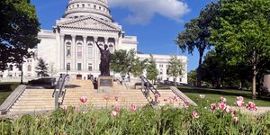 Δενδρύλλια κάνναβης βρέθηκαν στον κήπο του Καπιλίου στο Ουισκόνσιν