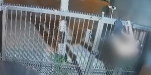 H στιγμή που το παντελόνι της κλέφτρας πιάνεται στα κάγκελα βίλας στη Μαϊπού της Χιλής