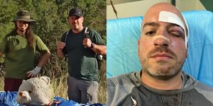 Άγρια επίθεση δέχτηκε ομάδα εθελοντών που βοηθούσε στον καθαρισμό της Πάρνηθας