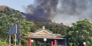 φωτια αλσος βεικου