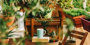 κουπα βιβλιο γλαστρες