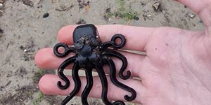 13χρονος βρήκε συλλεκτικό Lego χταπόδι που είχε χαθεί το 1997