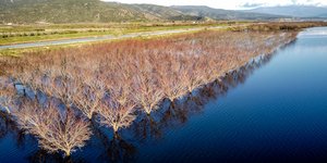 Λίμνη Κάρλα