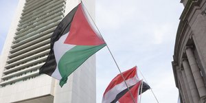 Νορβηγία, παλαιστινιακή σημαία