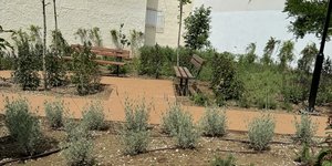Δημιουργήθηκε νέο «πάρκο τσέπης» με 456 αρωματικά φυτά και δέντρα στην Τούμπα