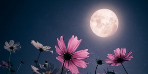 Φωτογραφία: Shutterstock