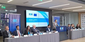 Κρίστιαν Χατζημηνάς, Πρόεδρος της Ε.ΕΝ.Ε.