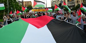 Πορεία με σημαία Παλαιστινης
