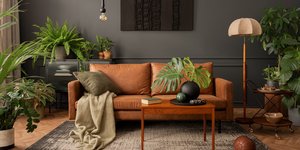 Φωτογραφία Shutterstock