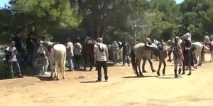 Σκιάθος: Αναβίωσαν οι Λαϊκοί Ιππικοί Αγώνες στη λίμνη των Κουκουναριών-Κατακλύσθηκε το νησί από επισκέπτες