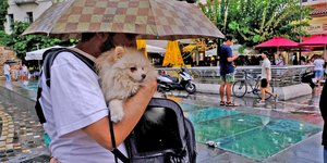 σκυλος ομπρελα 