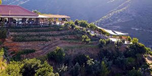 Σε αυτόν τον βοτανικό κήπο στα Χανιά θα γίνει ο γάμος Κασσελάκη-Τάιλερ Μακμπέθ