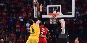 Η τάπα του Ράιτ στον Βέσελι