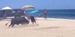 Η στιγμή της επίθεσης του ταύρου στην τουρίστρια σε παραλία του Μεξικού