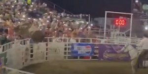 ΗΠΑ: Πανικός σε ροντέο στο Όρεγκον -Ταύρος πήδηξε φράχτη